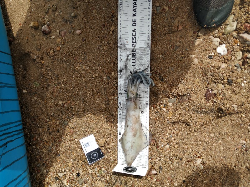 Fish Measure Picture
